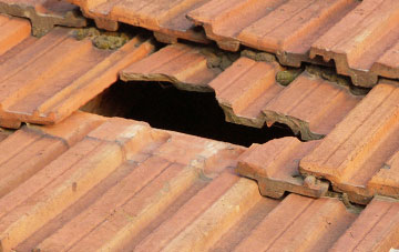 roof repair Old Cambus, Scottish Borders